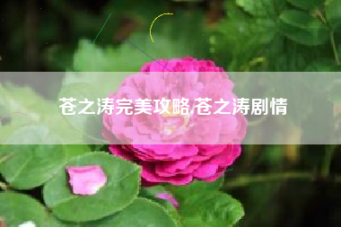 苍之涛完美攻略,苍之涛剧情