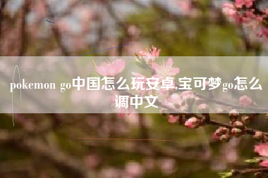 pokemon go中国怎么玩安卓,宝可梦go怎么调中文