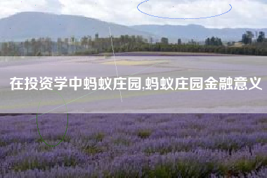 在投资学中蚂蚁庄园,蚂蚁庄园金融意义