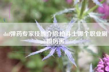 dnf弹药专家技能介绍,枪斗士哪个职业刷图厉害