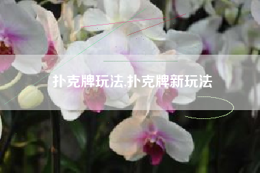 扑克牌玩法,扑克牌新玩法