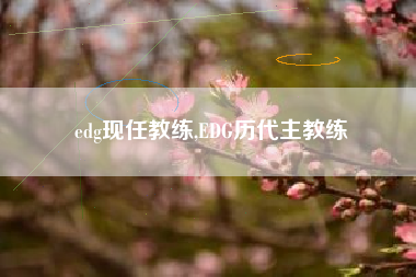 edg现任教练,EDG历代主教练