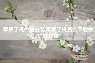 苹果手机微信安装,苹果手机怎么下载微信并安装