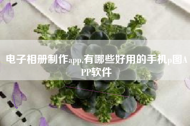 电子相册制作app,有哪些好用的手机p图APP软件