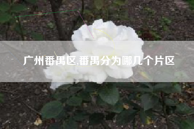 广州番禺区,番禺分为哪几个片区