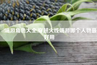 cf端游角色大全,穿越火线端游哪个人物最好用