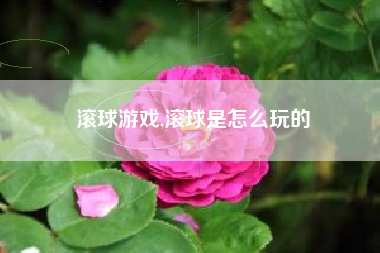 滚球游戏,滚球是怎么玩的