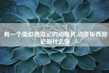 有一个类似西游记的动画片,动漫版西游记叫什么呀