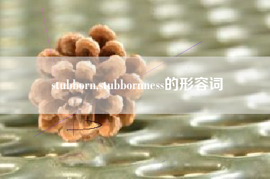 stubborn,stubbornness的形容词