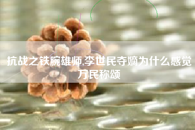 抗战之铁腕雄师,李世民夺嫡为什么感觉万民称颂