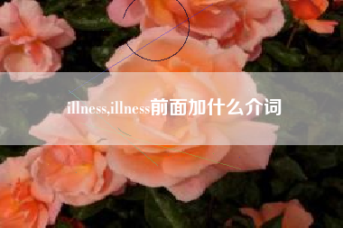 illness,illness前面加什么介词