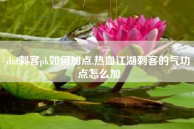 dnf刺客pk如何加点,热血江湖刺客的气功点怎么加