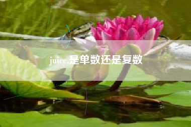juice,是单数还是复数