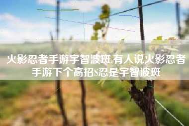 火影忍者手游宇智波斑,有人说火影忍者手游下个高招S忍是宇智波斑