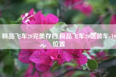 极品飞车20完美存档,极品飞车20组装车c10位置
