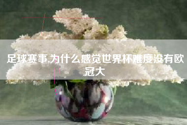足球赛事,为什么感觉世界杯难度没有欧冠大