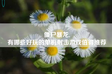 僵尸暴龙,
有哪些好玩的单机射击游戏值得推荐