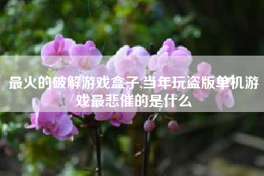 最火的破解游戏盒子,当年玩盗版单机游戏最悲催的是什么