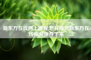 新东方在线网上课程,怎样能把新东方在线视频保存下来