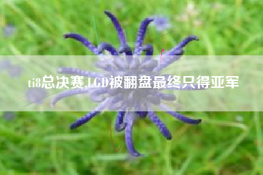 ti8总决赛,LGD被翻盘最终只得亚军