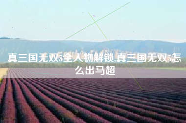 真三国无双5全人物解锁,真三国无双5怎么出马超