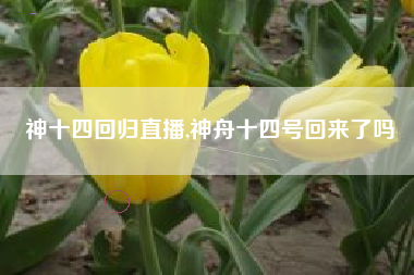 神十四回归直播,神舟十四号回来了吗