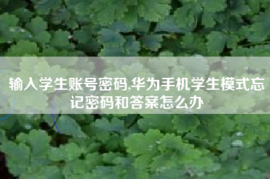 输入学生账号密码,华为手机学生模式忘记密码和答案怎么办