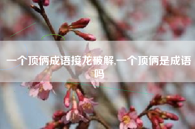 一个顶俩成语接龙破解,一个顶俩是成语吗
