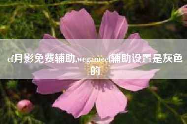 cf月影免费辅助,wegamecf辅助设置是灰色的