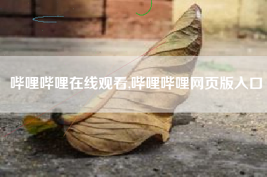 哔哩哔哩在线观看,哔哩哔哩网页版入口