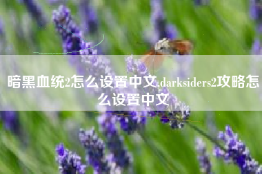 暗黑血统2怎么设置中文,darksiders2攻略怎么设置中文