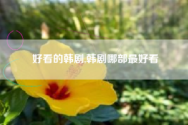 好看的韩剧,韩剧哪部最好看