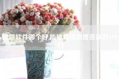 搜题软件哪个好,能推荐搜题搜答案的APP吗