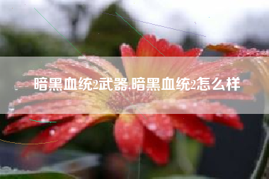 暗黑血统2武器,暗黑血统2怎么样