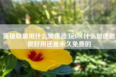 英雄联盟用什么加速器,玩LOL什么加速器很好用还是永久免费的