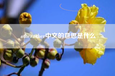 other,other中文的意思是什么