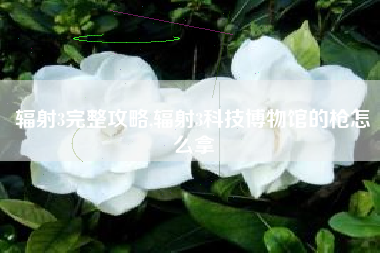 辐射3完整攻略,辐射3科技博物馆的枪怎么拿