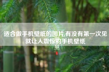 适合做手机壁纸的图片,有没有第一次见就让人震惊的手机壁纸