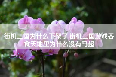 街机三国为什么下架了,街机三国游戏吞食天地里为什么没有马超