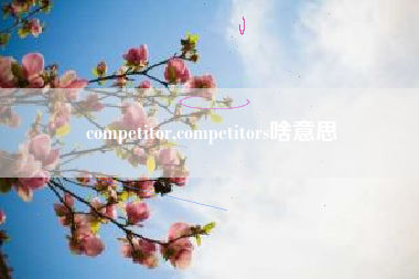 competitor,competitors啥意思