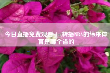 今日直播免费观看nba,转播NBA的纬来体育是哪个省的
