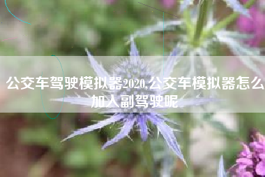 公交车驾驶模拟器2020,公交车模拟器怎么加入副驾驶呢