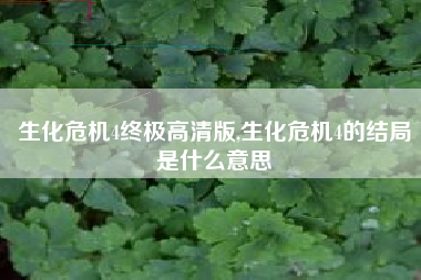 生化危机4终极高清版,生化危机4的结局是什么意思