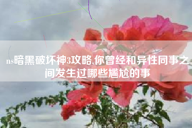 ns暗黑破坏神3攻略,你曾经和异性同事之间发生过哪些尴尬的事