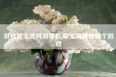 游戏藏宝湾网游单机,藏宝海湾是哪个游戏