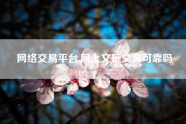 网络交易平台,网上文玩交易可靠吗