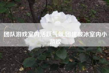 团队游戏室内活跃气氛,团建破冰室内小游戏