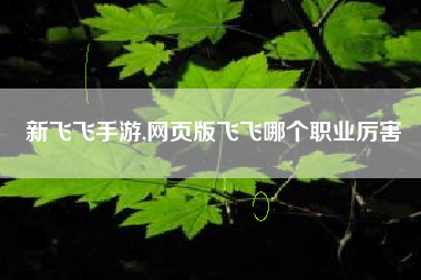 新飞飞手游,网页版飞飞哪个职业厉害