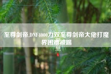 至尊剑帝,DNF4000力双至尊剑帝大佬打魔界困难被踢