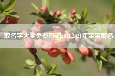取名字大全免费查询2021,2021年宝宝取名